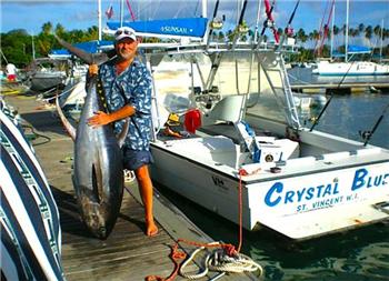 Crystal Blue Fishing Boat - St Vincent